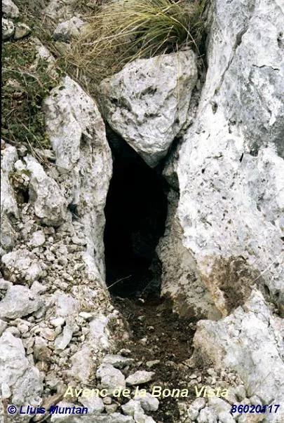 Photograph of BONA VISTA, AVENC DE LA (1 of 1)