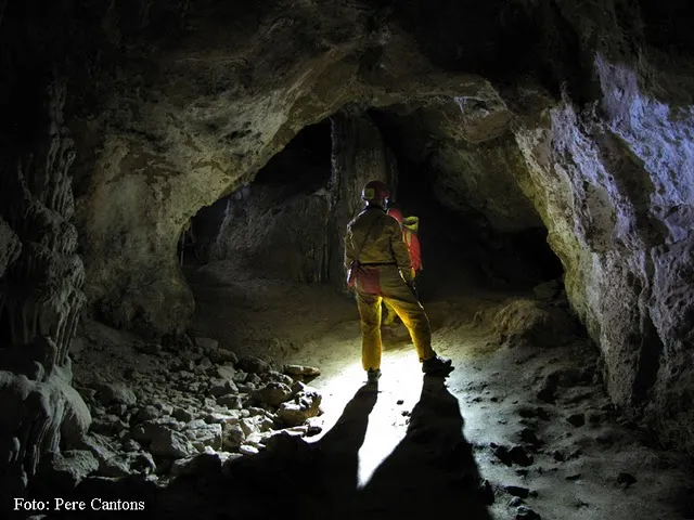 Photograph of ANES, COVA D' (2 of 8)