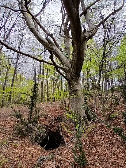 Fotografia de COLL DE L'ALEC, AVENC DEL (1 de 6)