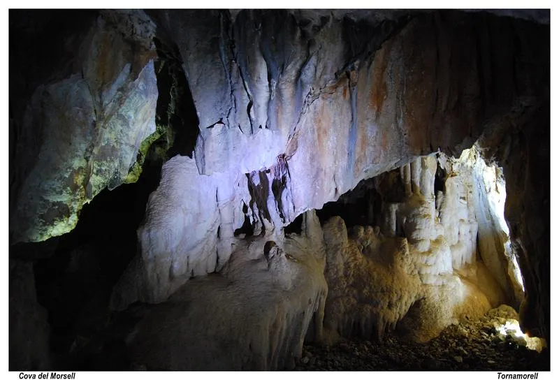 Fotografia de MORSELL, COVA DEL (3 de 4)