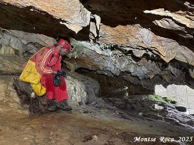 Fotografia de AIGUA DE CASELLES, COVES DE L' (7 de 13)