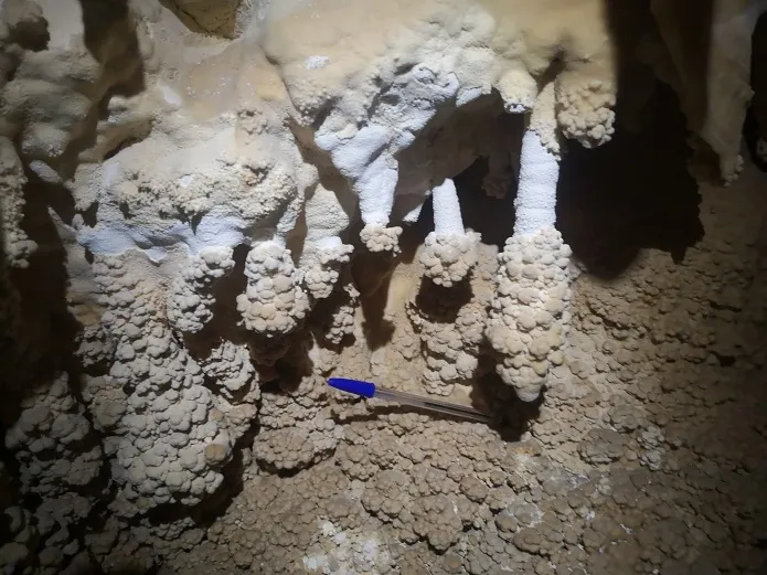 Fotografia de PEDRERA DE L'ANTIC, FORAT DE LA (7 de 8)