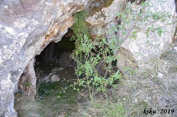 Photograph of CANAL, MINA INFERIOR DE LA (4 of 6)