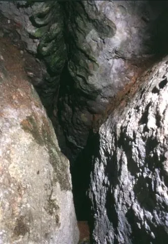 Fotografia de CASTELLASSA DEL DALMAU, COVA DE (1 de 2)