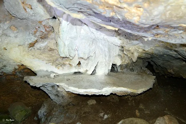 Photographie de LLIGALLO DE ROCA ROJA, COVA DEL (2 sur 2)