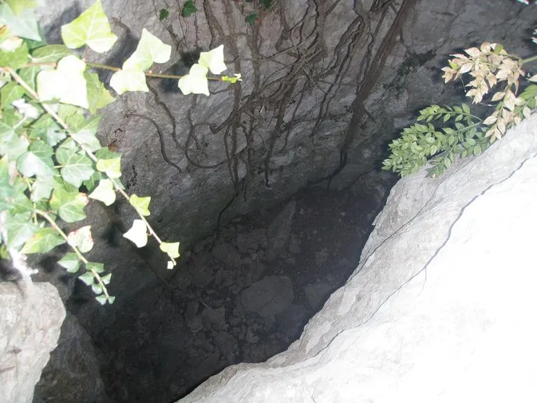 Photograph of LLUMINS, AVENC DELS (2 of 2)