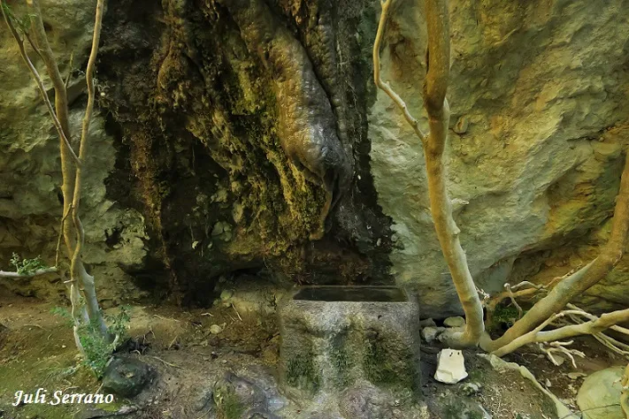 Fotografia de FONT DEL BASSI, BALMA DE LA (2 de 5)