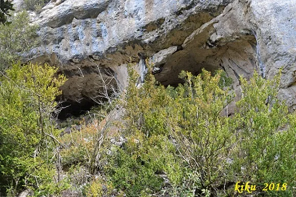 Photographie de ESCUDELLETA, COVA Nº4 DE L' (2 sur 7)