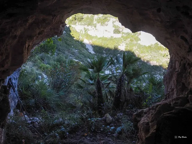 Fotografia de BASSIOL, COVA DEL (6 de 6)