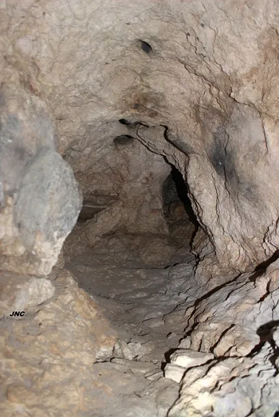Photographie de ÓS, COVA DE L' (3 sur 3)