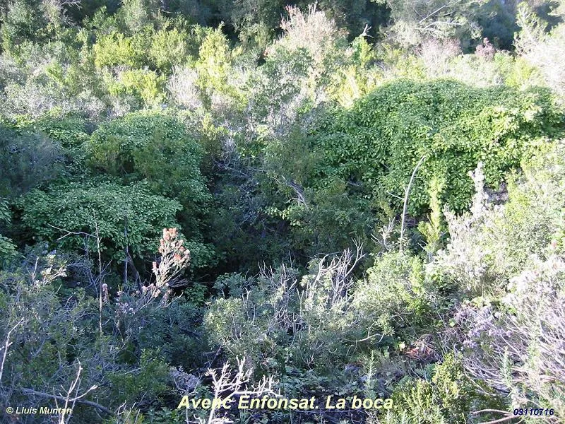 Fotografia de ENFONSAT, AVENC (1 de 1)