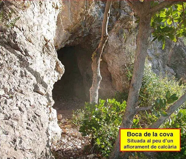 Photograph of SENECÓ, COVA DEL (2 of 5)