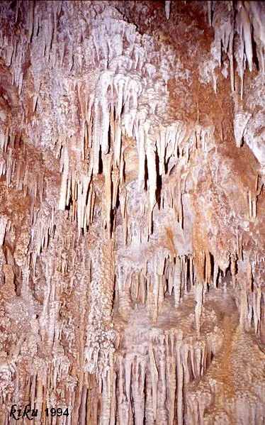 Fotografía de CAN RAMONET, AVENC DE (4 de 4)