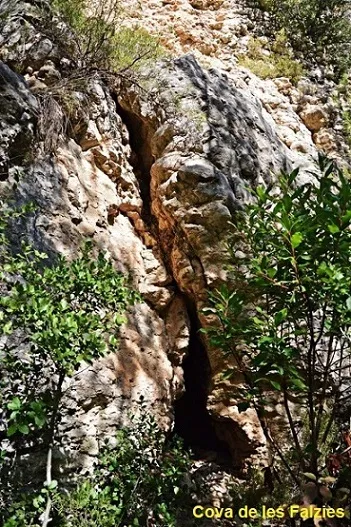 Fotografia de FALZIES, BALMA I COVA DE LES (4 de 4)