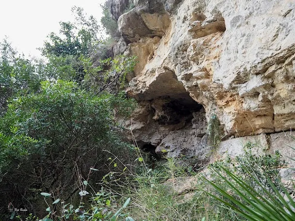 Fotografía de BUCO, COVA DEL (1 de 2)