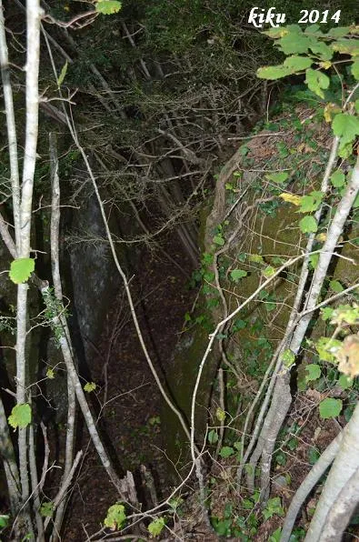Photograph of RATAFIA, FORAT DE LA (4 of 4)