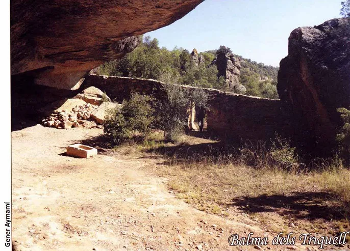 Fotografía de TRIQUELL, BALMA DELS (2 de 4)