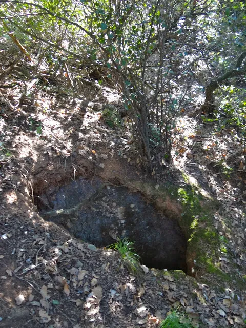 Photograph of MATA-RODONA, AVENC DE (1 of 1)