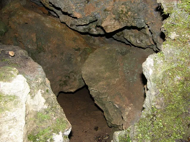 Photographie de ARRELS-CLONC, SISTEMA (10 sur 15)