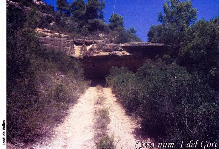 Fotografia de GORI, COVA Nº1 DEL (1 de 2)