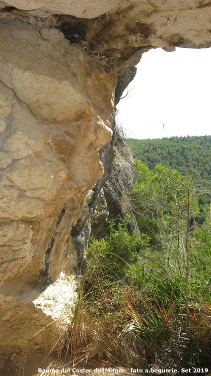 Fotografía de COSTER MITGER, BALMA DEL (6 de 6)