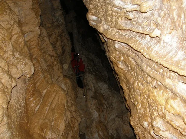 Photographie de PATXARRO, COVA (9 sur 9)