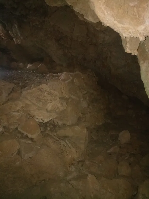 Photograph of DURAN, COVA D'EN (4 of 5)