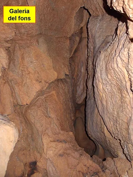Photograph of CAN NOFRE, TUTA DE (6 of 6)
