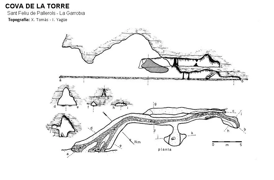 Survey of TORRE, COVA DE LA