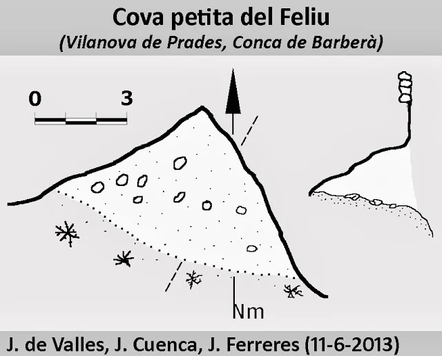 Survey of FELIU, COVA PETITA DEL