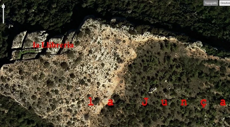 Topografia de JUNÇA, AVENC DE LA
