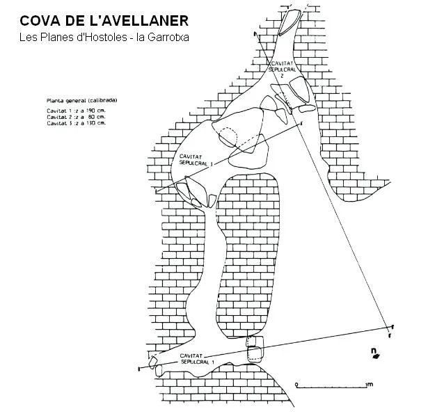 Topografía de AVELLANER, COVA DE L'
