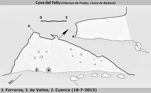 Topografía de FELIU, COVA DEL