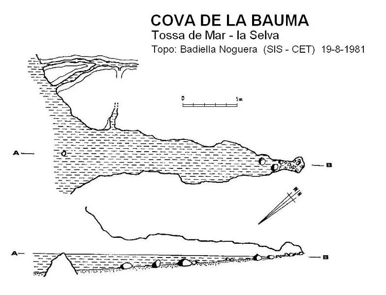 Topografía de BAUMA, COVA DE LA