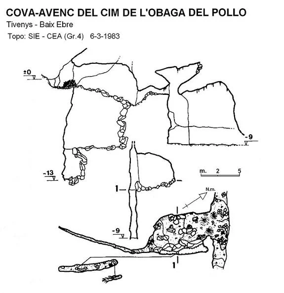 Topografia de CIM DE L'OBAGA DEL POLLO, COVA-AVENC DEL