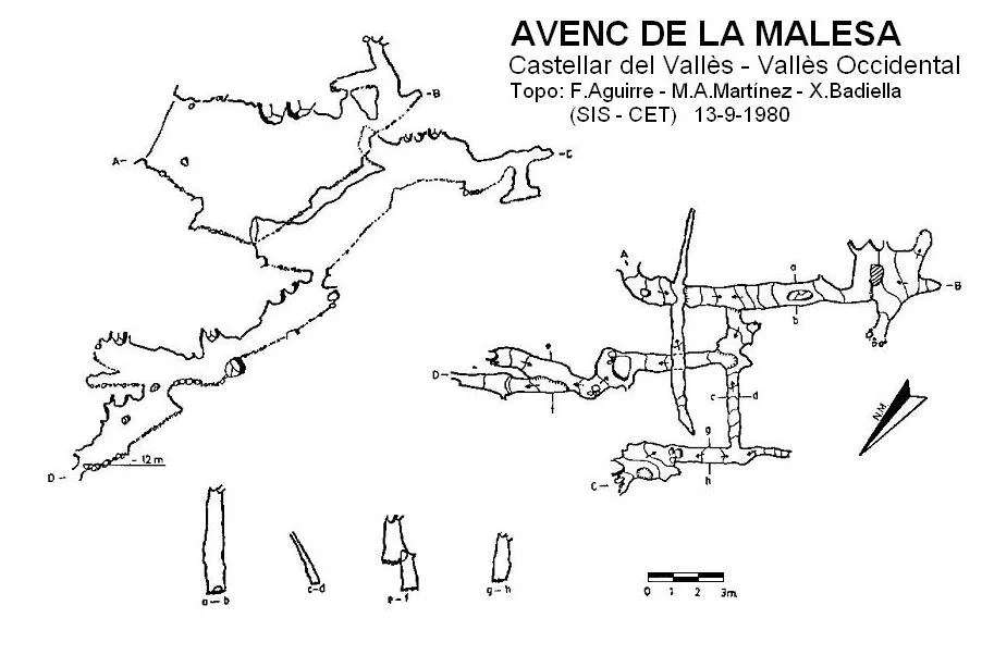 Topografia de MALESA, AVENC DE LA