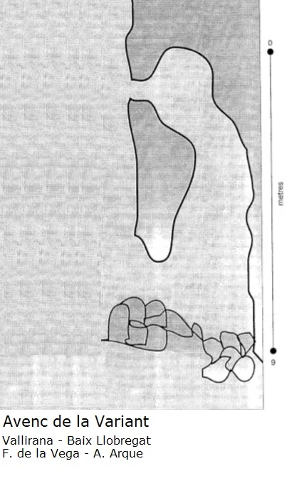 Topografía de VARIANT, AVENC DE LA