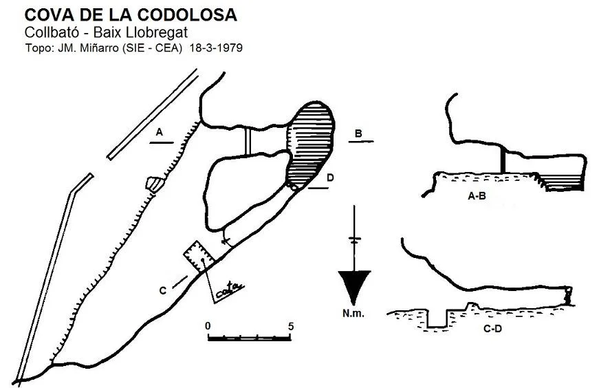 Survey of CODOLOSA, COVA DE LA