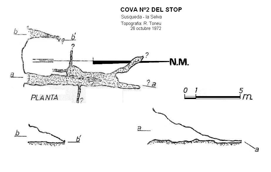 Topografia de STOP, COVA Nº2 DEL