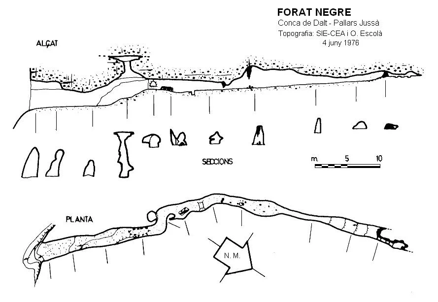 Survey of NEGRE, FORAT