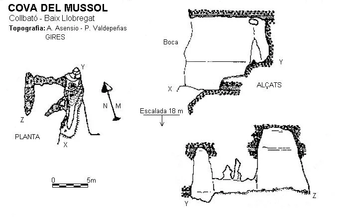 Topografía de MUSSOL, COVA DEL
