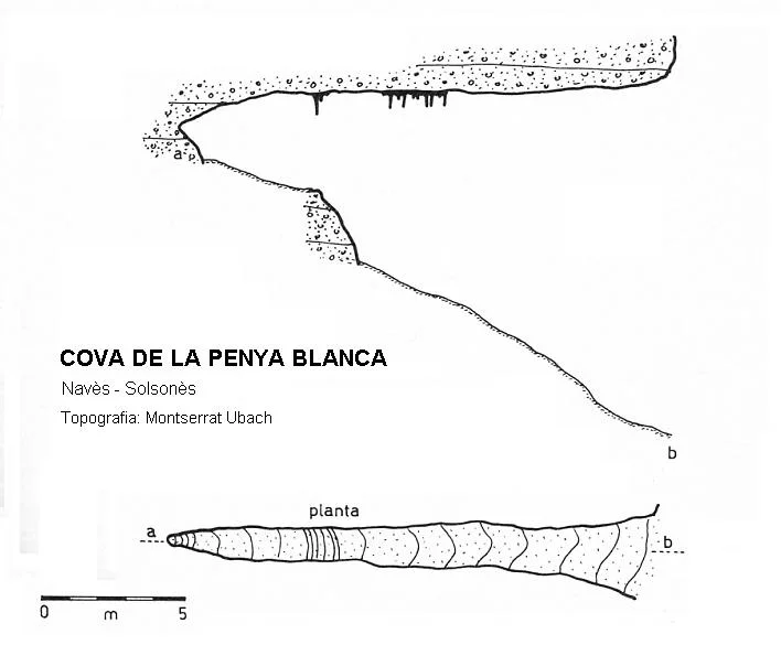 Topografía de PEDRA BLANCA, COVA DE LA