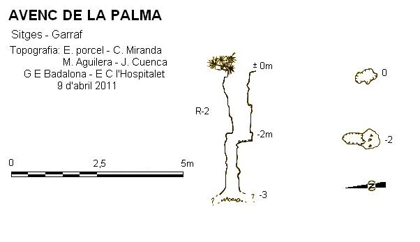 Topografia de PALMA, AVENC DE LA