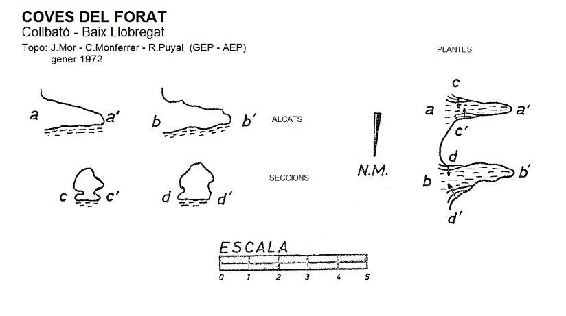 Topografía de FORAT, COVES DEL