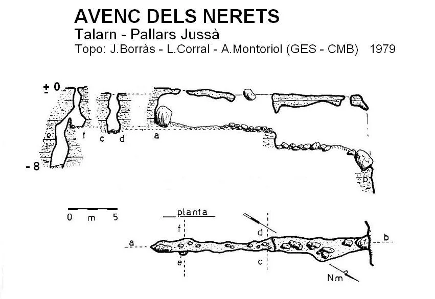 Survey of NERETS, AVENC DELS