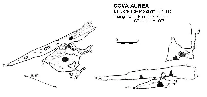 Survey of AUREA, COVA