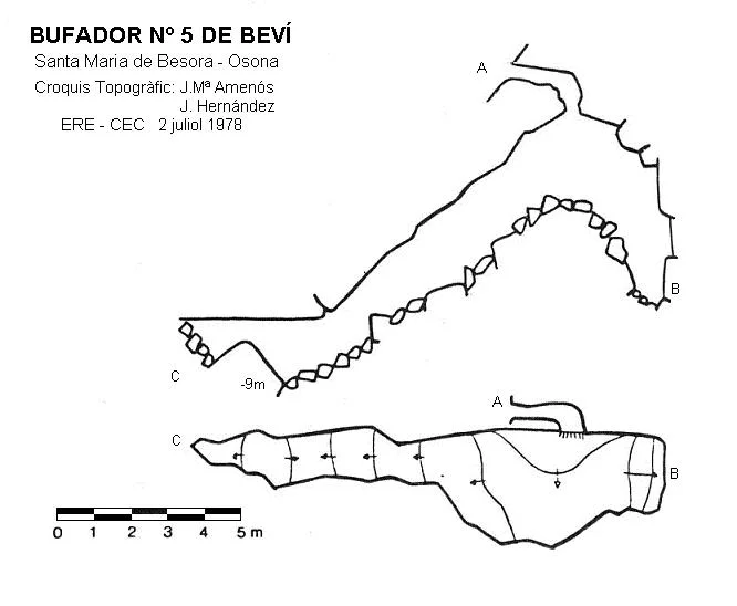 Survey of BEVÍ, BUFADOR Nº5 DE