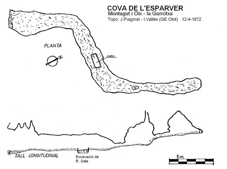 Survey of ESPARVER, COVA DE L'