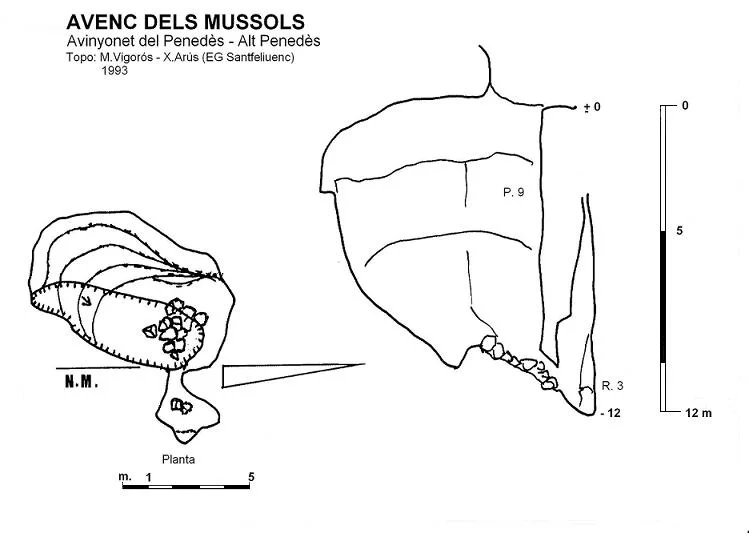 Topografia de MUSSOLS, AVENC DELS