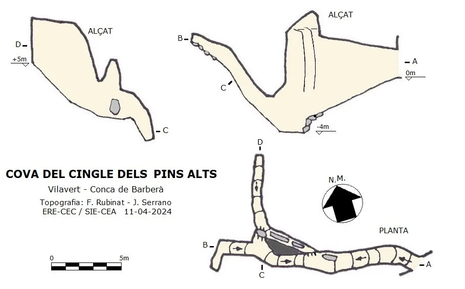 Topografia de CINGLE DELS PINS ALTS, COVA DEL